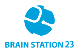 Brain Station 23 Limited